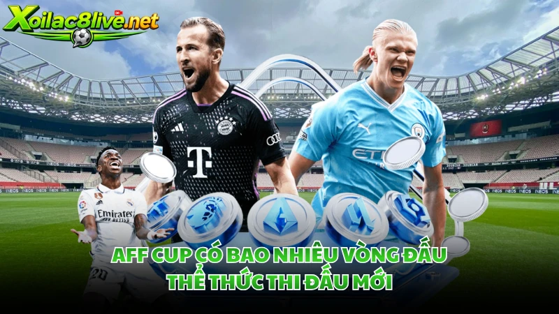 AFF Cup Có Bao Nhiêu Vòng Đấu