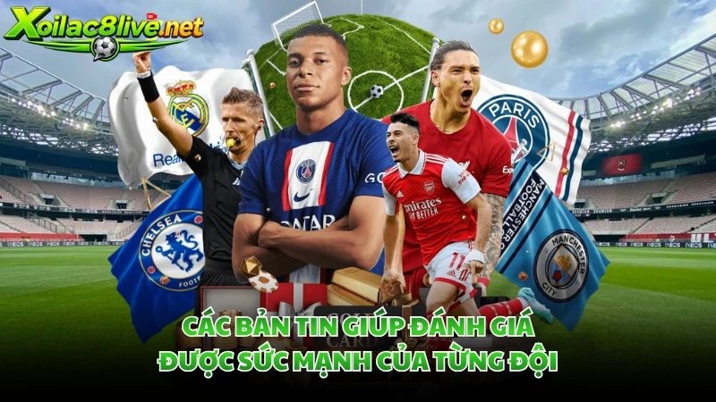 Các bản tin giúp đánh giá được sức mạnh của từng đội
