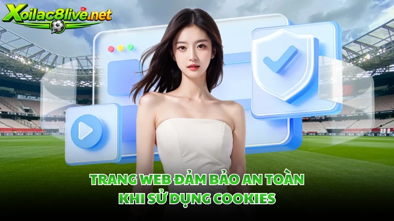 Trang web đảm bảo an toàn khi sử dụng cookies